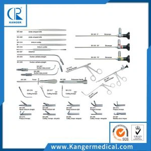 Sinoscope
